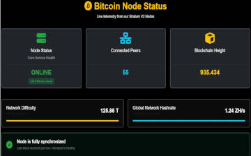 Bitcoin Node Status crop